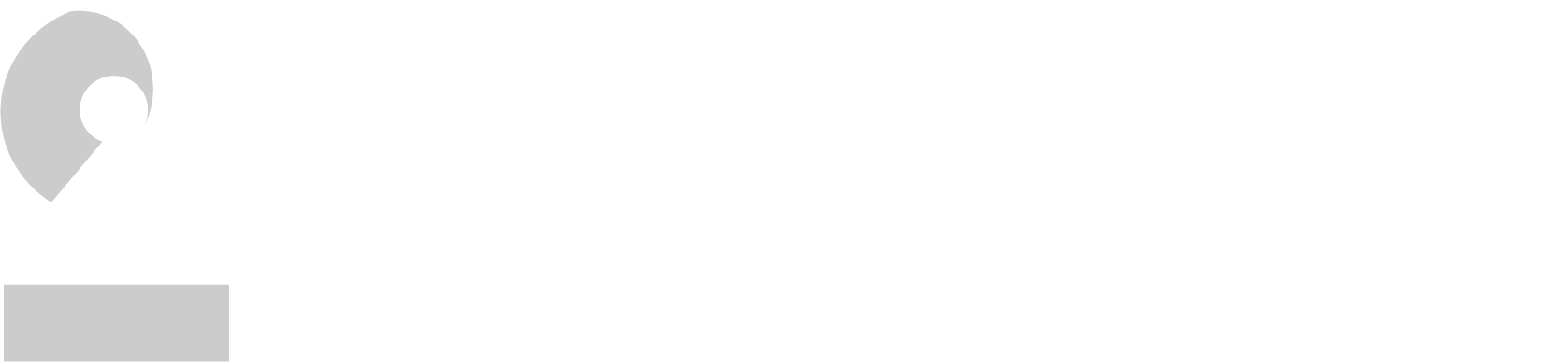 Druhá ekonomická transformace